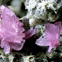 Talmessite, Heterogenite, Aragonite