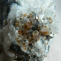 Quintinite, Pyrite
