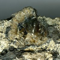 Tainiolite, Polylithionite, Todorokite