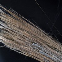 Carlosturanite, Chrysotile