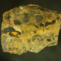 Samuelsonite