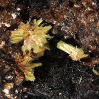 Uranospathite