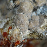 Caryopilite, Saneroite
