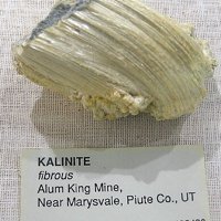 Kalinite