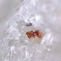 Tancaite-(Ce)
