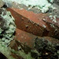 Ulrichite