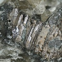 Rasvumite