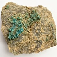 Opal-AN