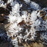 Ice