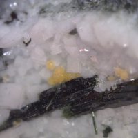 Labuntsovite-Fe, Aegirine