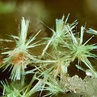 Agardite-(La)