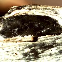 Barićite, Satterlyite