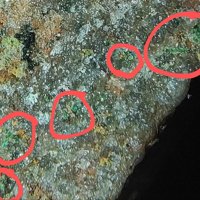 Sampleite, Goethite, Libethenite