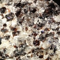 Ganomalite, Phlogopite