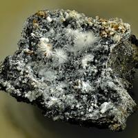 Canavesite, Inderite, Dypingite