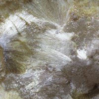 Carpholite