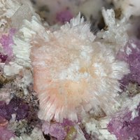 Rauenthalite, Picropharmacolite, Sainfeldite