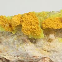 Bayleyite, Liebigite, Gypsum