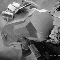 Landauite