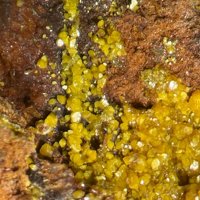 Carnotite