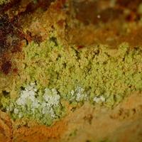 Barahonaite-(Fe), Arsenogoyazite