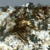 Nalivkinite