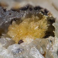 Fanfaniite