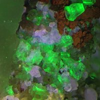 Gaidonnayite, Fluorite, Microcline