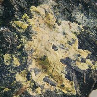 Carlosbarbosaite, Columbite-(Fe)-Columbite-(Mn) Series