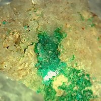 Salesite
