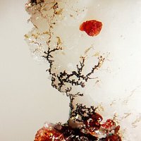 Labuntsovite-Fe