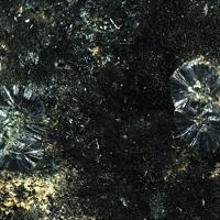 Bariandite, Lenoblite
