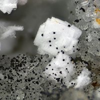 Lanthanite-(Ce)