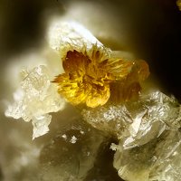 Magnanelliite, Krausite