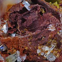 Carminite, Segnitite, Mimetite