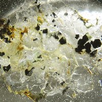 Umbrianite, Magnetite, Fluorophlogopite
