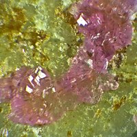 Sainfeldite