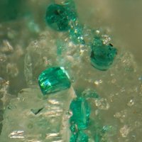 Sabelliite