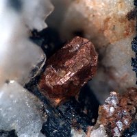 Dalyite