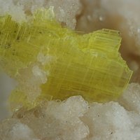Uranocircite, Quartz