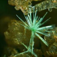 Agardite-(La)