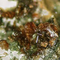 Jahnsite-(CaMnMn)