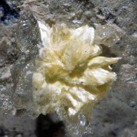 Rabbittite