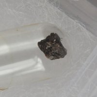 Garavellite