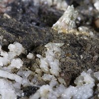 Gadolinite-(Ce), Monazite-(Ce), Adularia