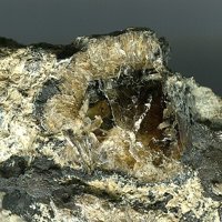 Tainiolite, Polylithionite, Todorokite