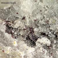 Aktashite, Arsiccioite