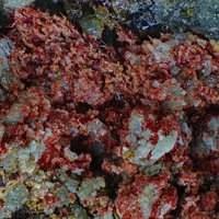 Carminite, Scorodite