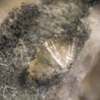 Fanfaniite