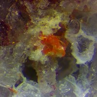 Macquartite, Quartz